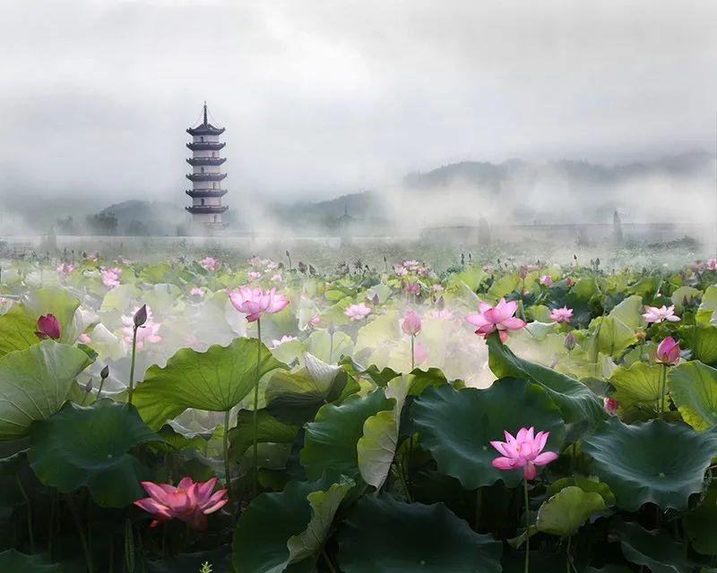 柳州柳城縣最新規(guī)劃，打造繁榮宜居的新時代城市藍圖