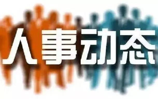 國務(wù)院最新任免，人事調(diào)整背后的政策動向與發(fā)展戰(zhàn)略