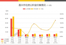 嘉興樓市最新消息，市場(chǎng)走勢(shì)、政策影響及未來(lái)展望