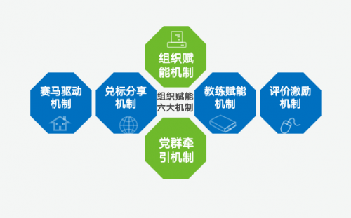 新奧門資料大全正版資料，探索與解讀