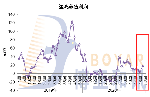 澳門跑狗圖與未來展望，探索2024正版資料的深度價值