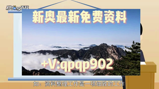 2024年新奧正版資料免費提供，探索與機遇