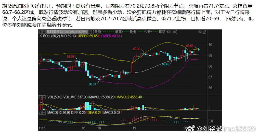 原油最新走勢分析建議，市場趨勢與應(yīng)對策略探討