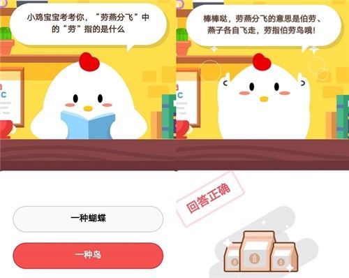 揭秘螞蟻莊園，猜一猜最新答案的奧秘