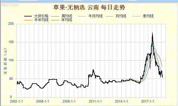 草果最新價(jià)格行情分析