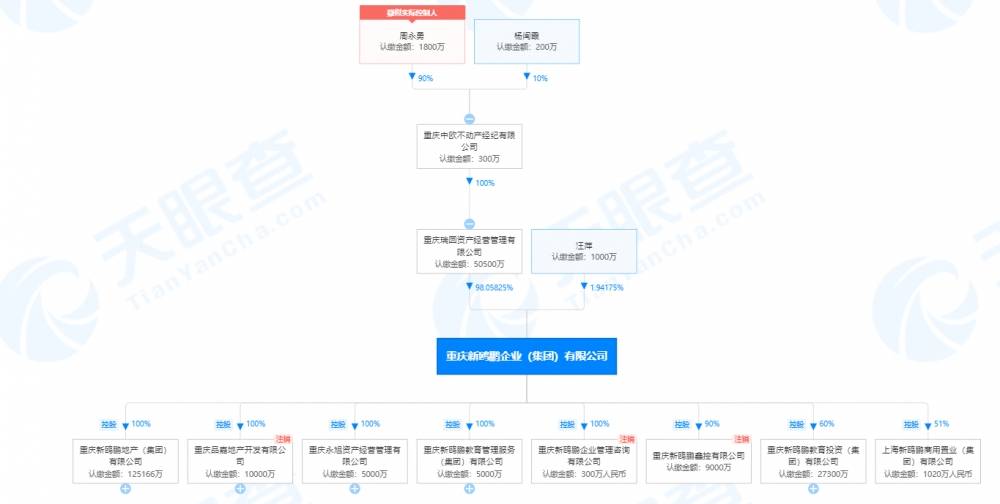 鵬欣資源重組最新消息，重塑企業(yè)架構(gòu)，開啟新篇章